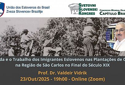 Spletno srečanje Konference za Brazilijo